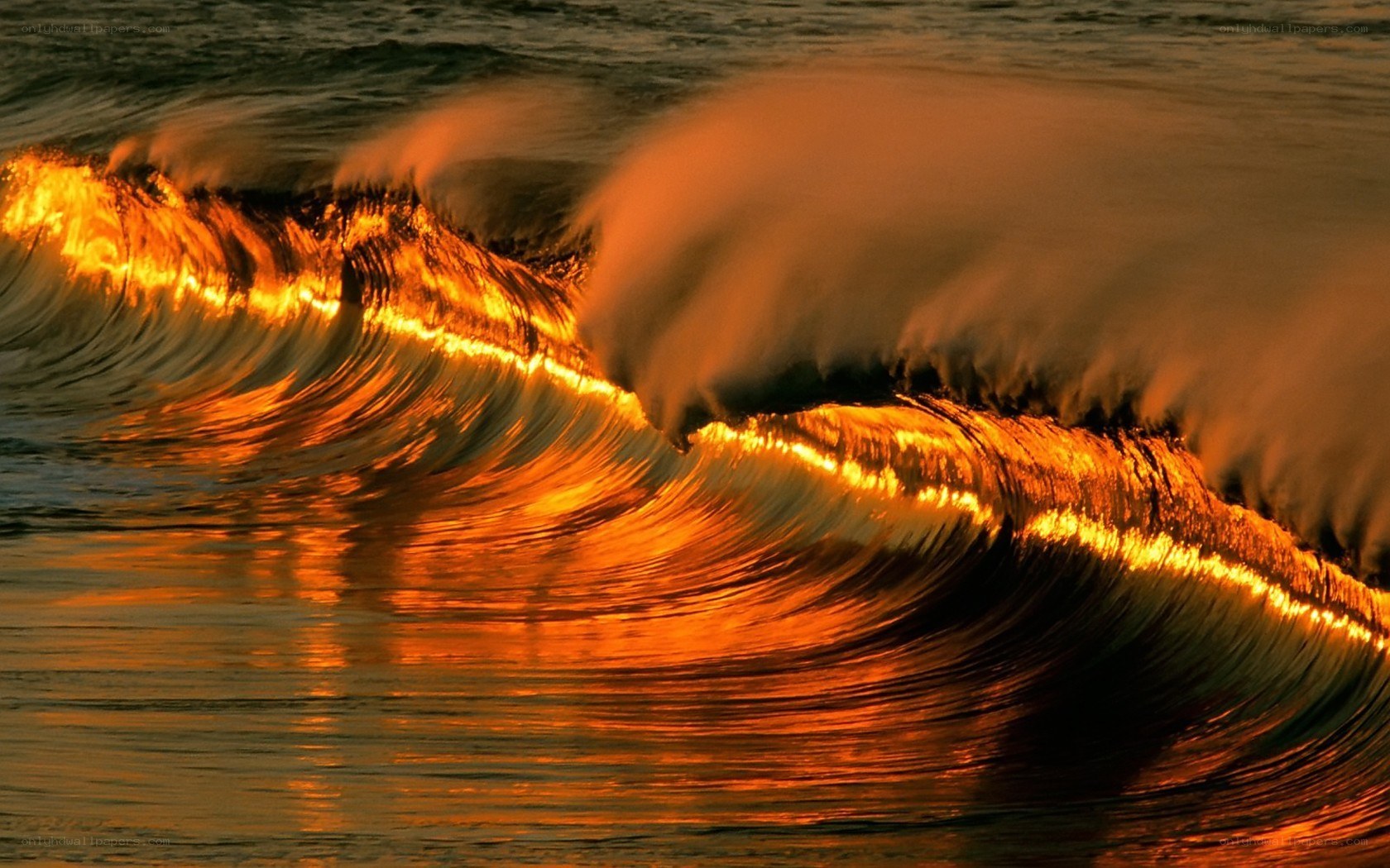 Golden waves at sunset
