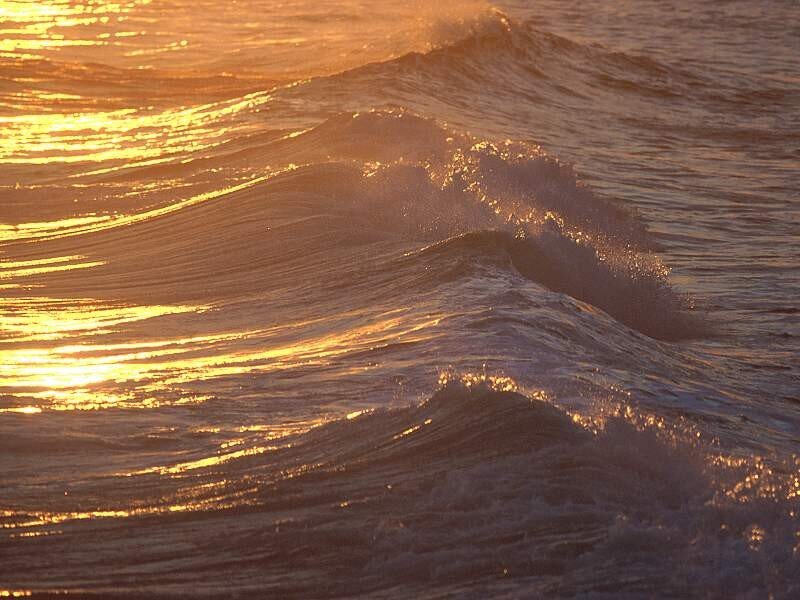 golden waves at sunset