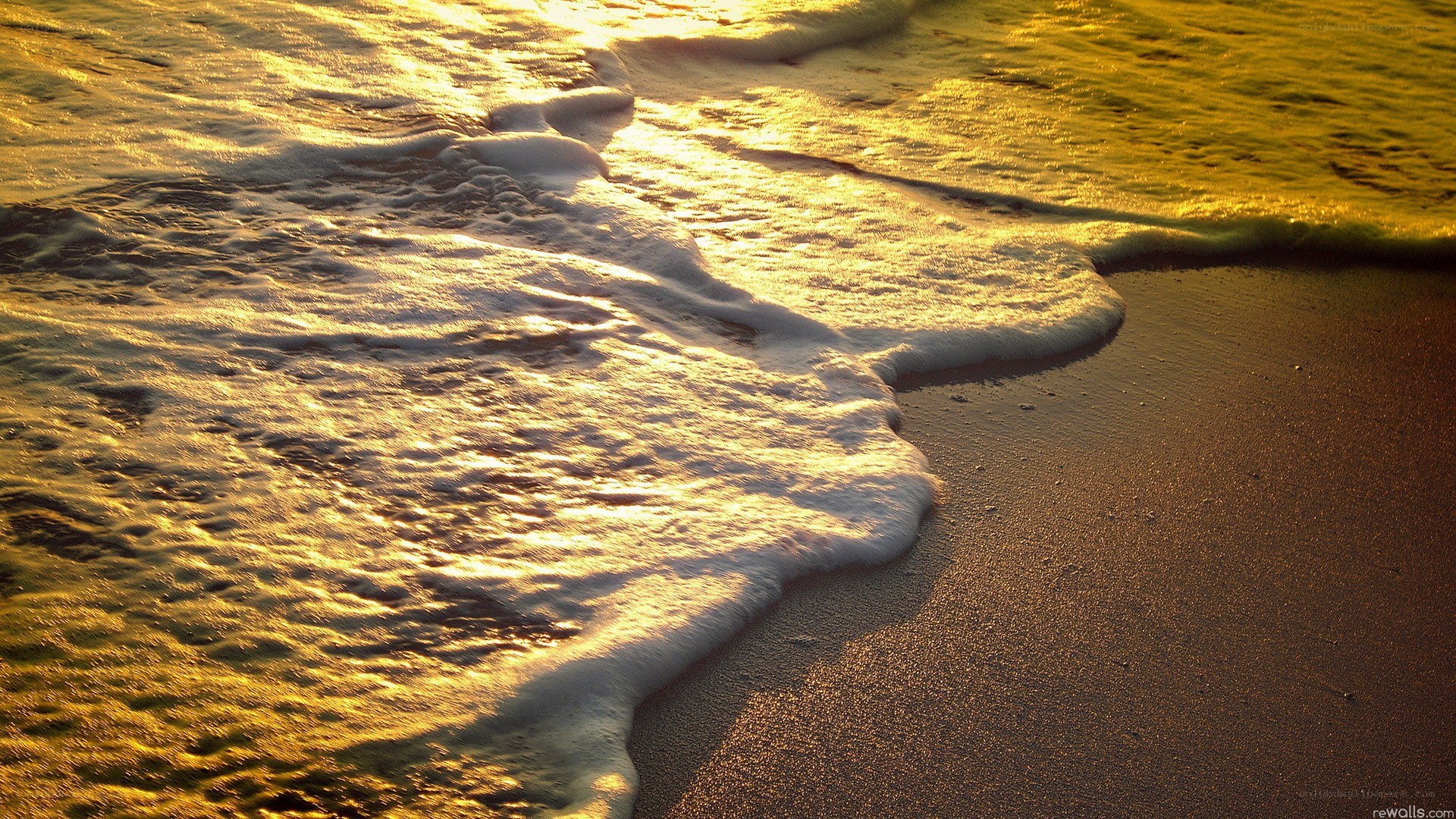 Golden waves at sunset