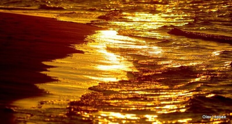 Golden Waves on Beach