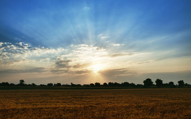 Golden Wheat Field — Blue, Sun