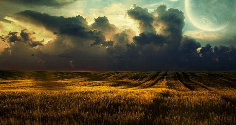 Golden Wheat Field — Gold, Dramatic, Sunset, Digital Art, Clouds