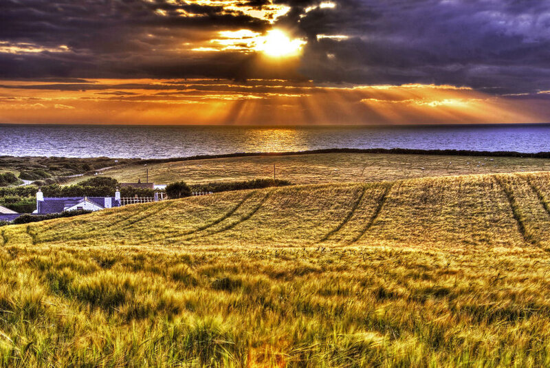 Golden Wheat Field — Gold, Dramatic, Sunset, Photograph, Sea