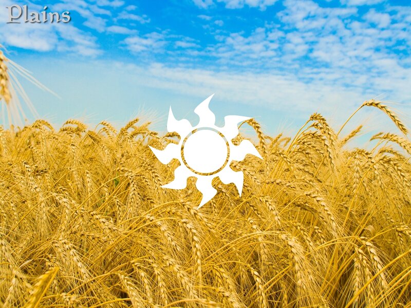 Golden wheat field under blue sky
