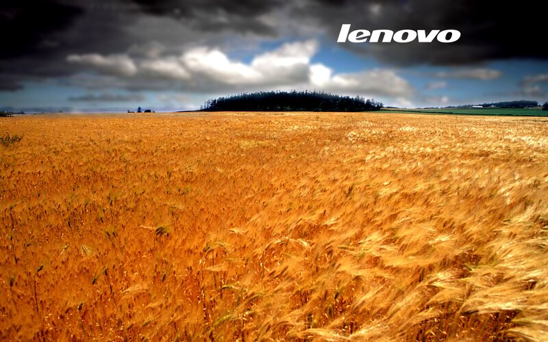 Golden wheat field under stormy sky
