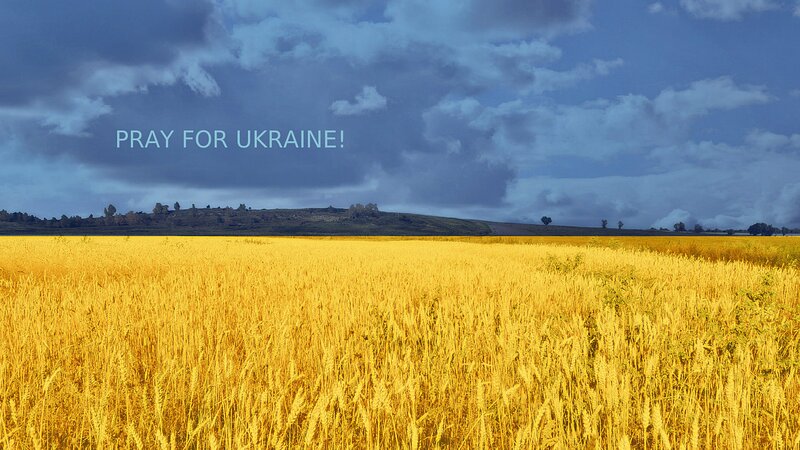 Golden Wheat Field — Yellow, Dramatic, Afternoon, Photograph, Sky