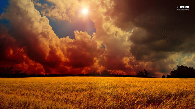 Golden Wheat Field — Yellow, Dramatic, Sunset, Photograph, Clouds