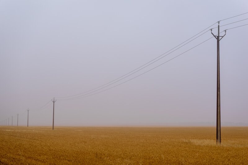 Golden Wheat Field — Yellow, Misty