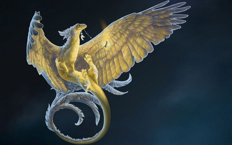 golden winged dragon