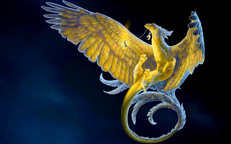 Golden Winged Dragon — Yellow
