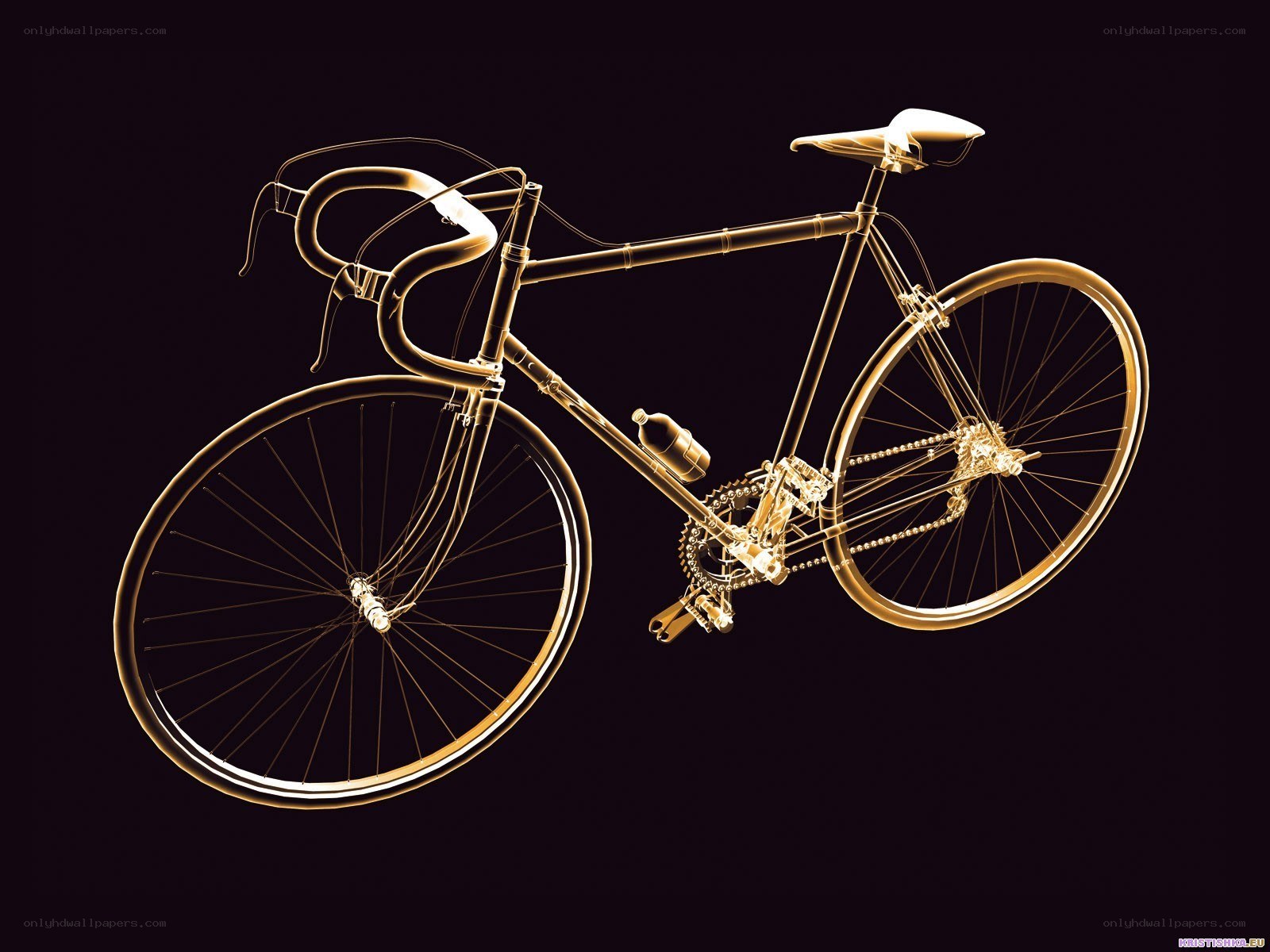 Golden wireframe bicycle