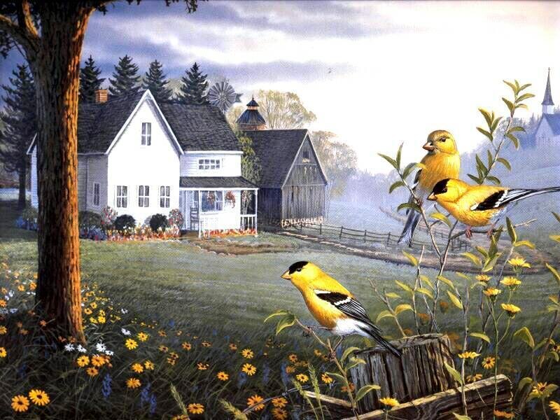 Goldfinches in a Field