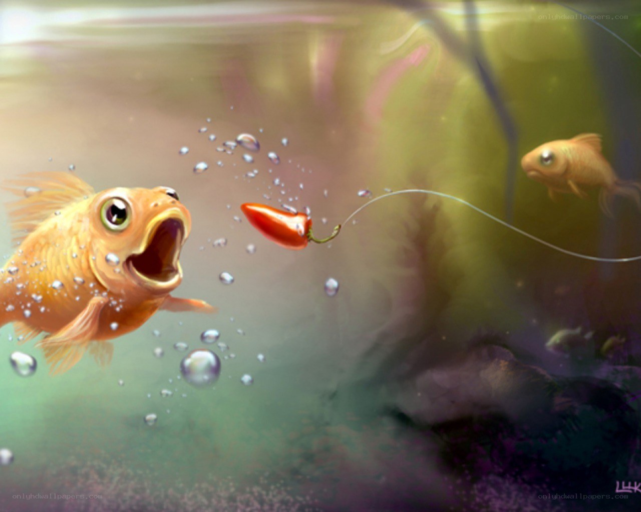 goldfish and chili bait