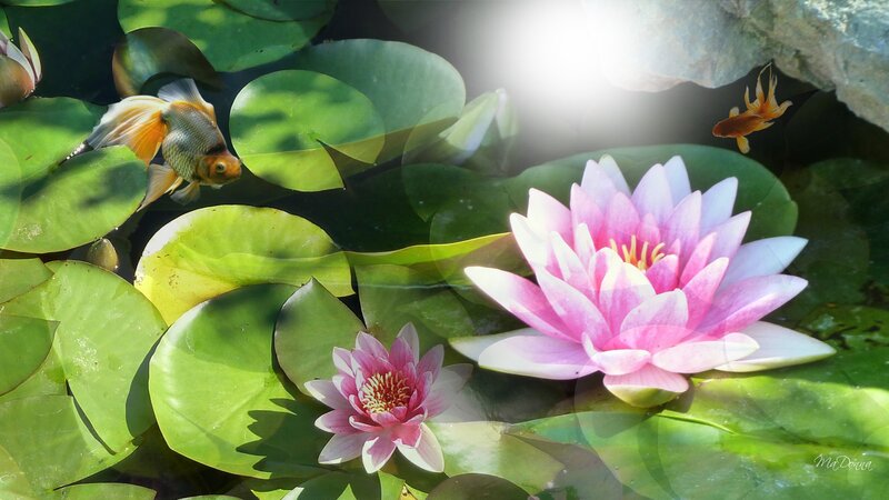 Goldfish and Water Lilies — Green