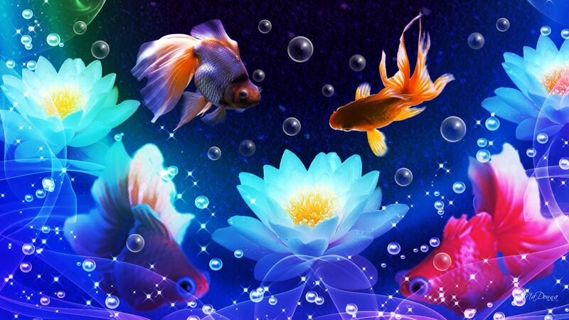 Goldfish and Water Lilies