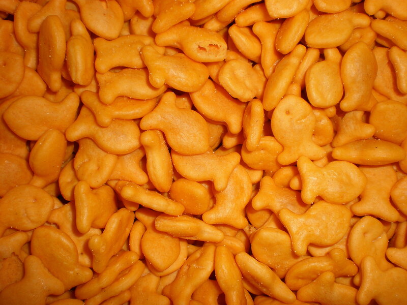 goldfish crackers close-up