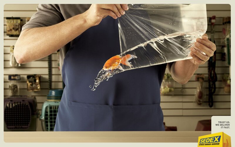 Goldfish delivery ad