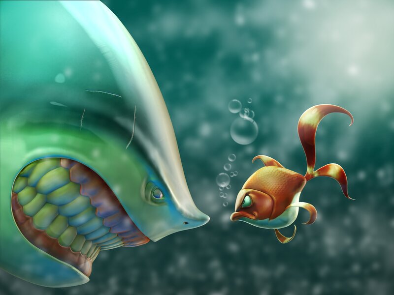 Goldfish Facing Shark