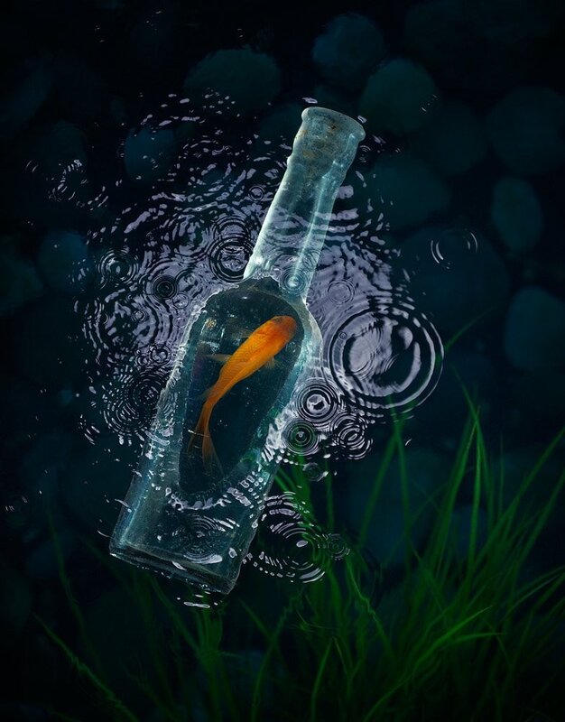 goldfish in a bottle