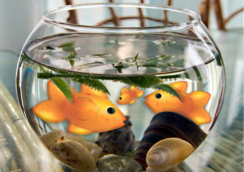 Goldfish in a Bowl — Orange, Calm, Digital Art
