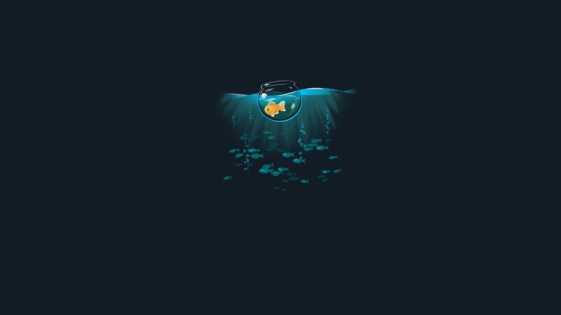 goldfish in a bowl underwater