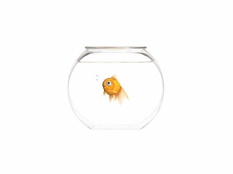 Goldfish in a Bowl — Yellow
