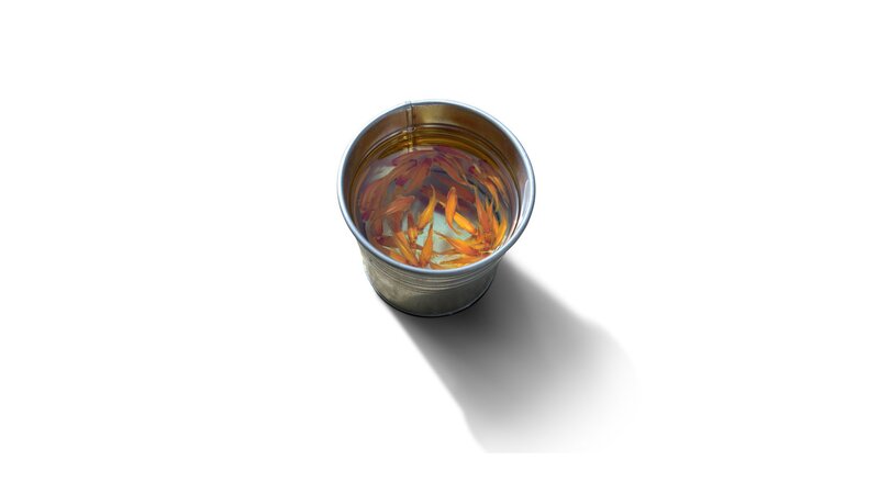 goldfish in a bucket