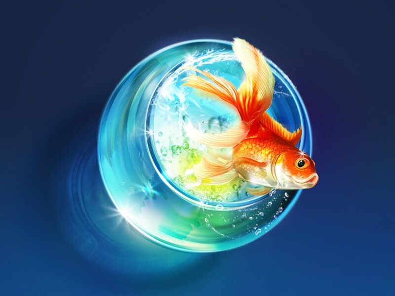 goldfish in a glass bowl