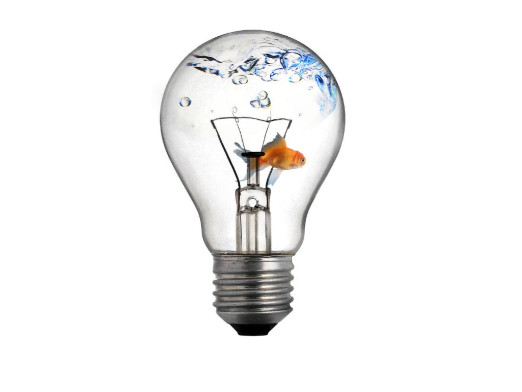 goldfish in a light bulb