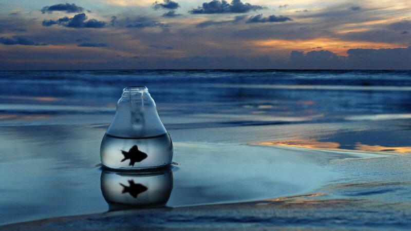 Goldfish in Bottle — Blue, Serene, Sunset, Photograph, Ocean, Sky, Orange