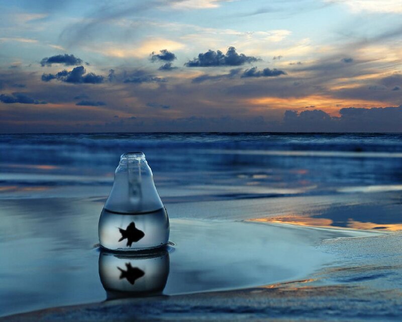 Goldfish in Bottle — Blue, Serene, Sunset
