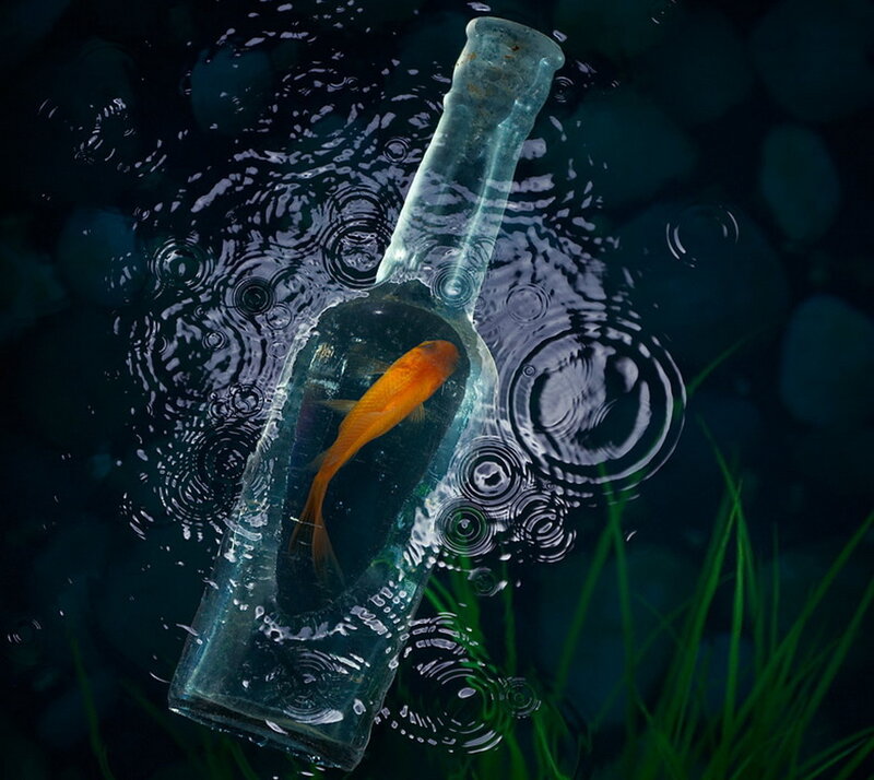 Goldfish in Bottle — Blue