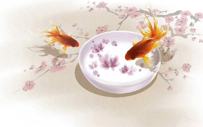 Goldfish in Bowl — White