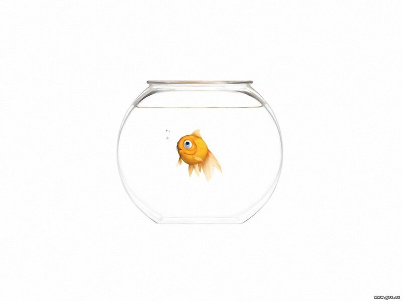 Goldfish in Bowl — Yellow, Serene