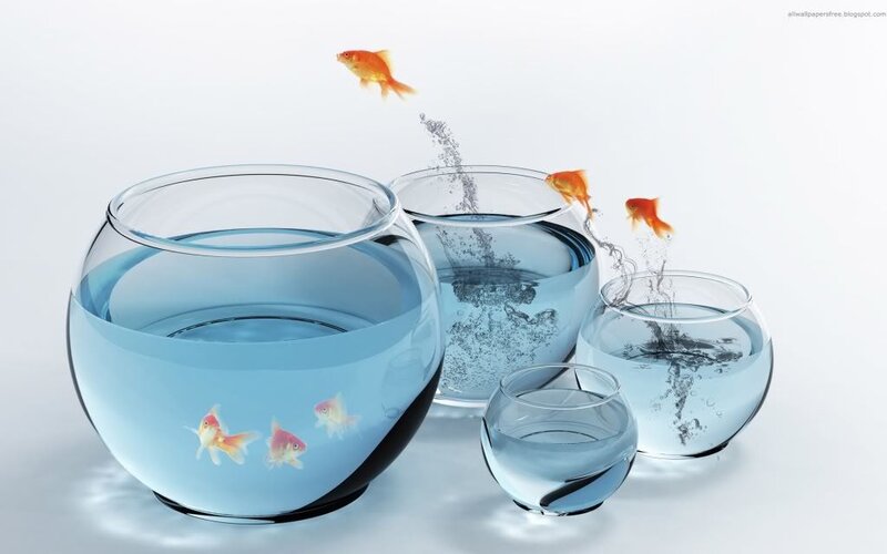 Goldfish in Bowls — Blue, Serene, Digital Art