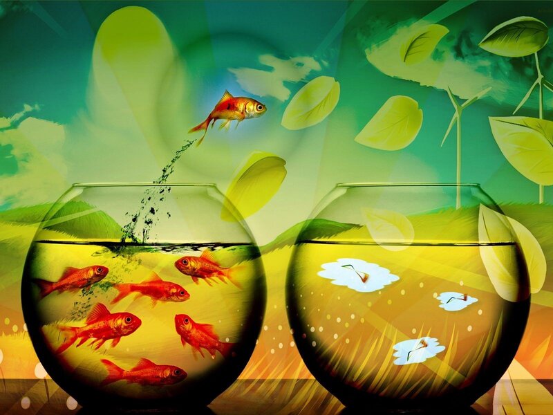 Goldfish in Bowls — Green