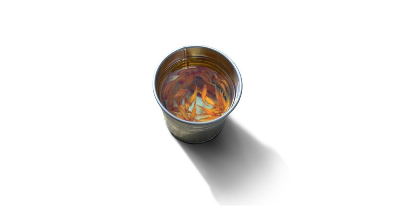 Goldfish in Bucket