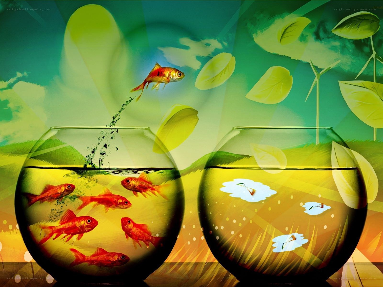 goldfish in fishbowls