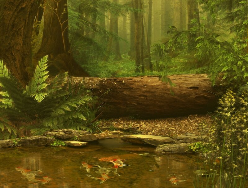 Goldfish in Forest Pond — Green