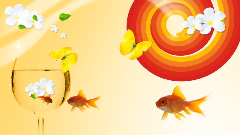 Goldfish in Glass