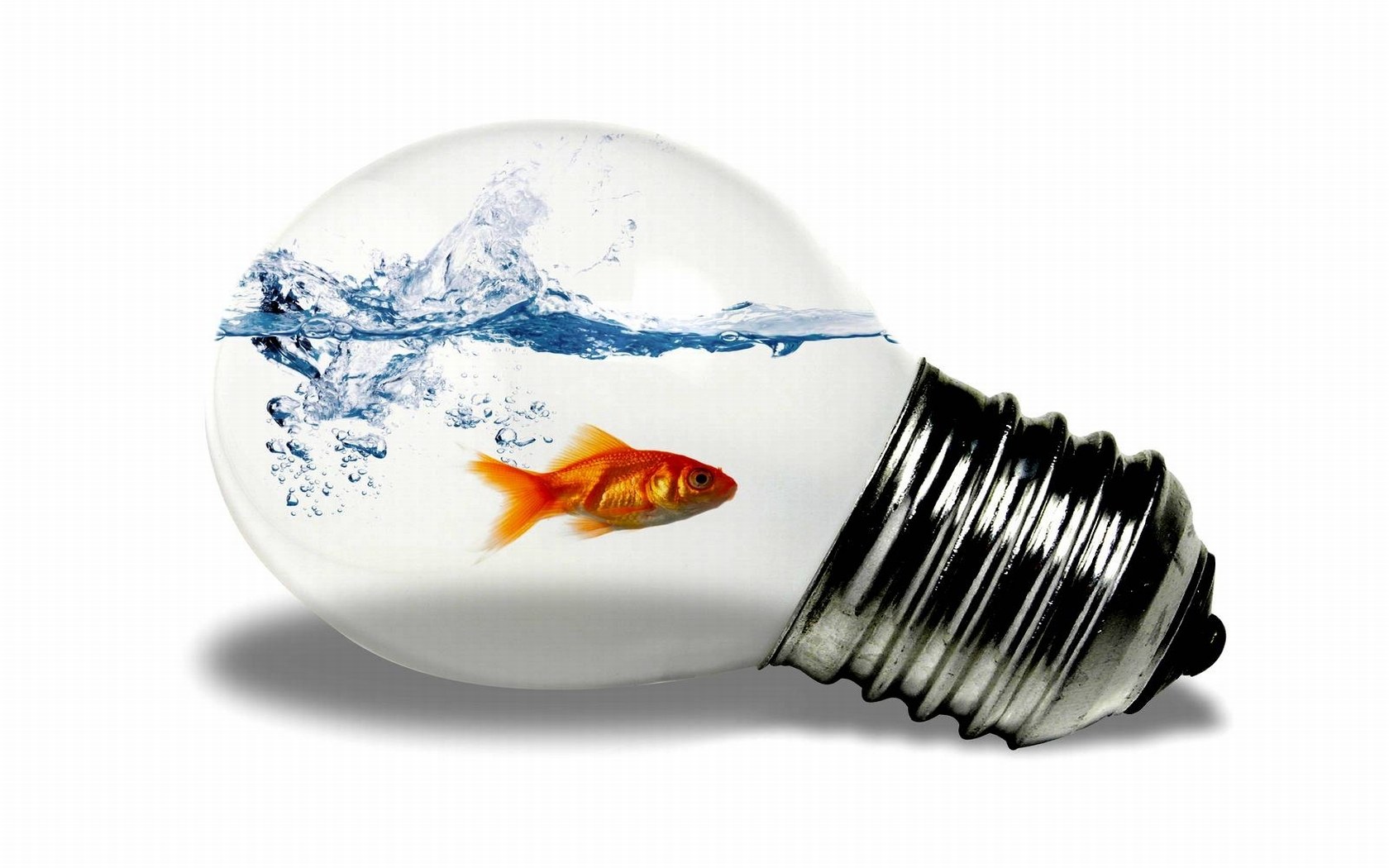 goldfish in light bulb