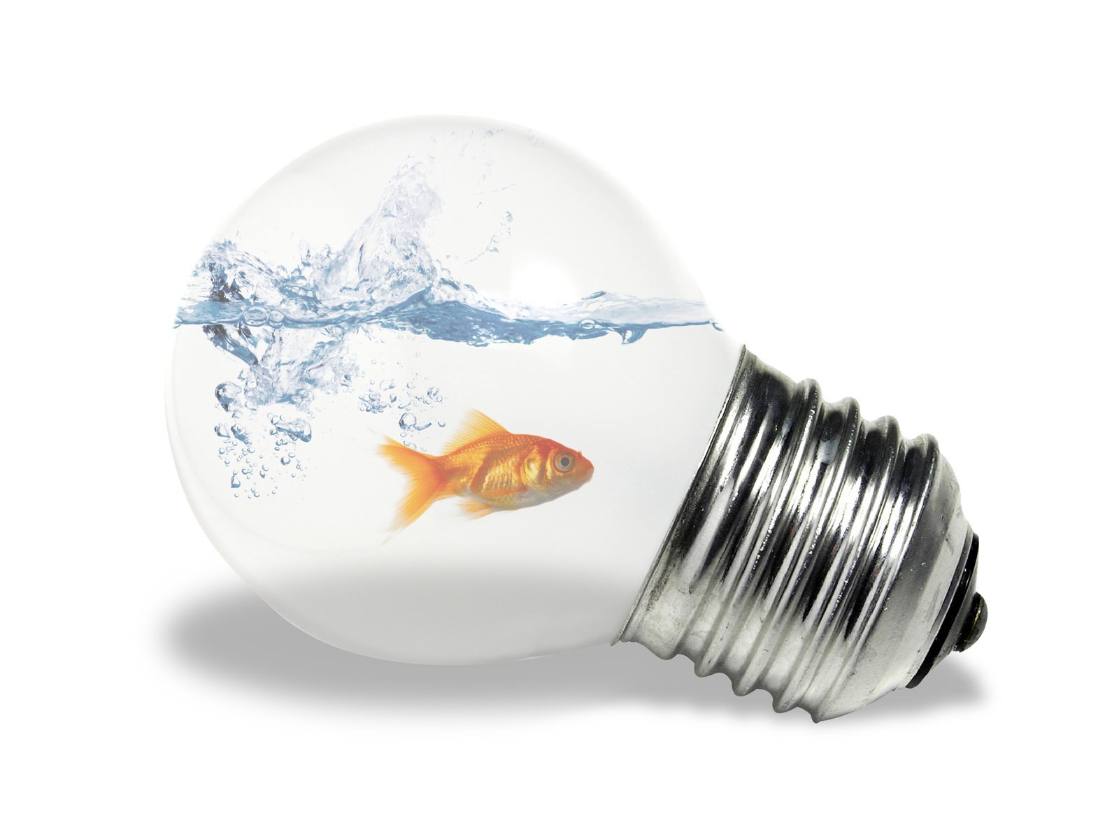 goldfish in light bulb