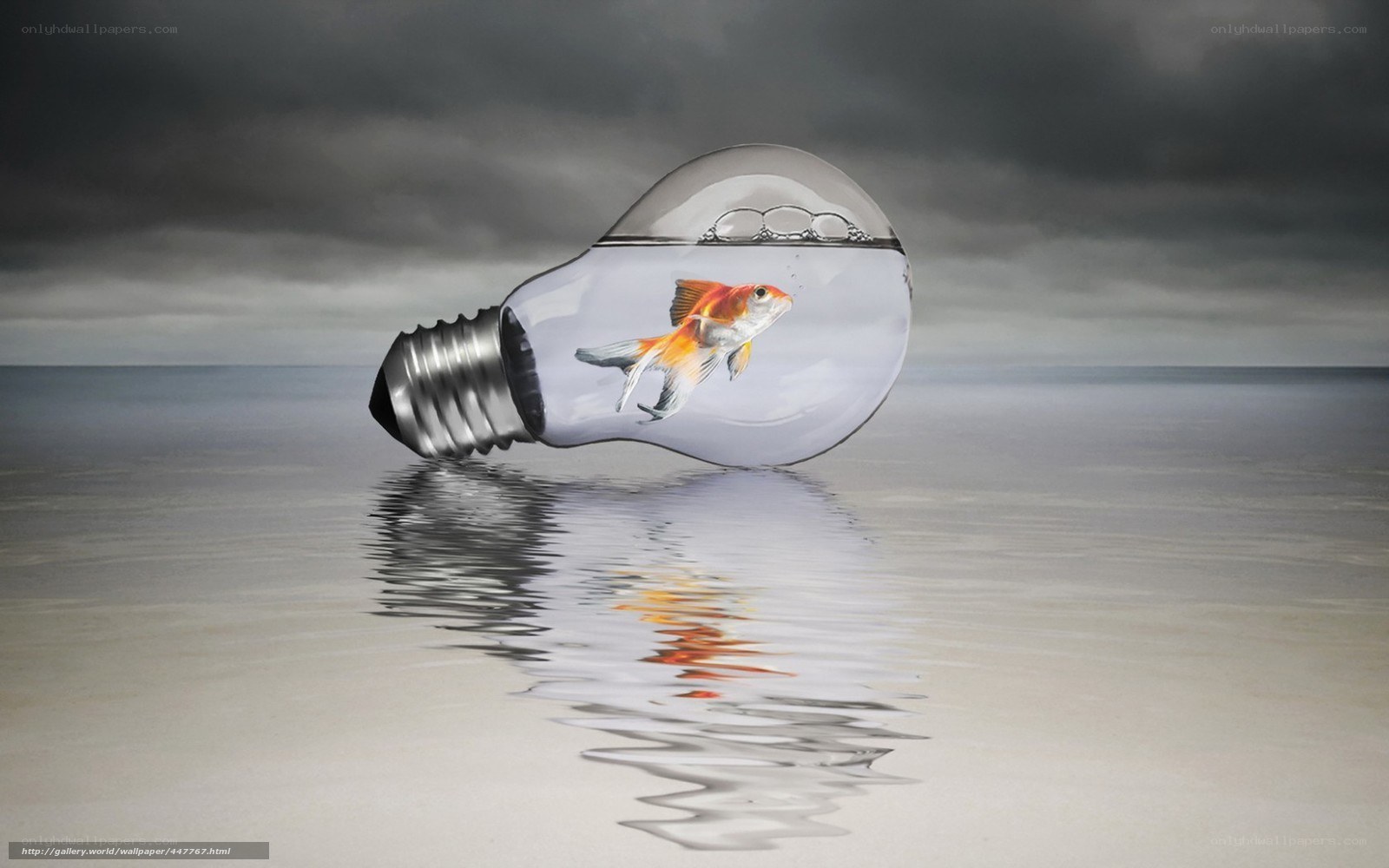 goldfish in light bulb