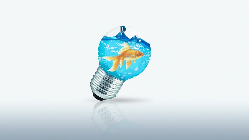 Goldfish in Light Bulb — Blue, Serene