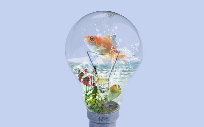 Goldfish in Light Bulb — Blue