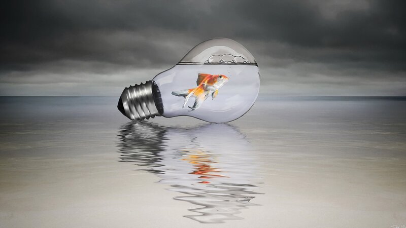 Goldfish in Light Bulb — Gray, Dramatic, Digital Art