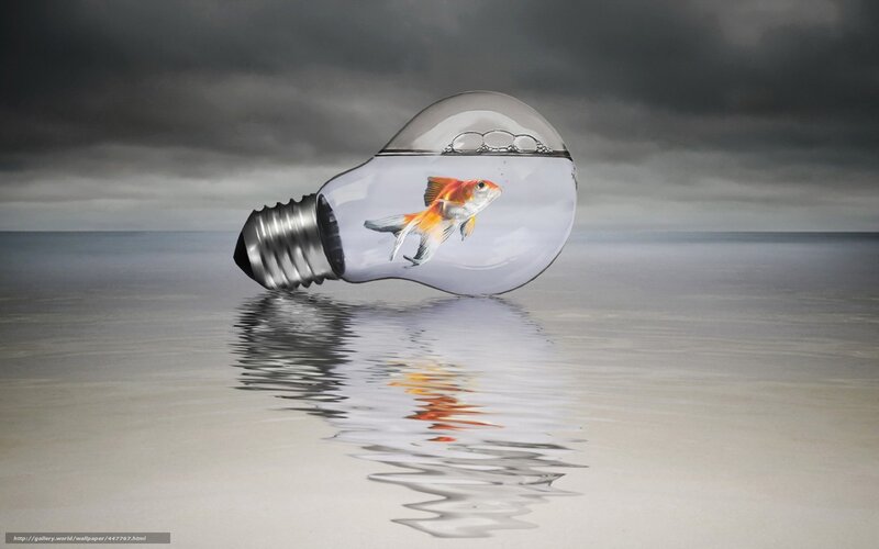Goldfish in Light Bulb — Gray, Dramatic