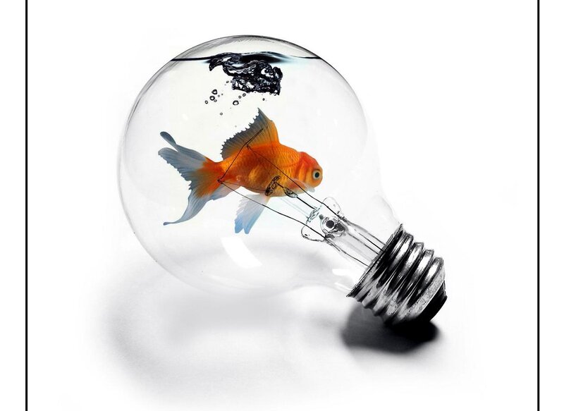 Goldfish in Light Bulb — Orange, Surreal