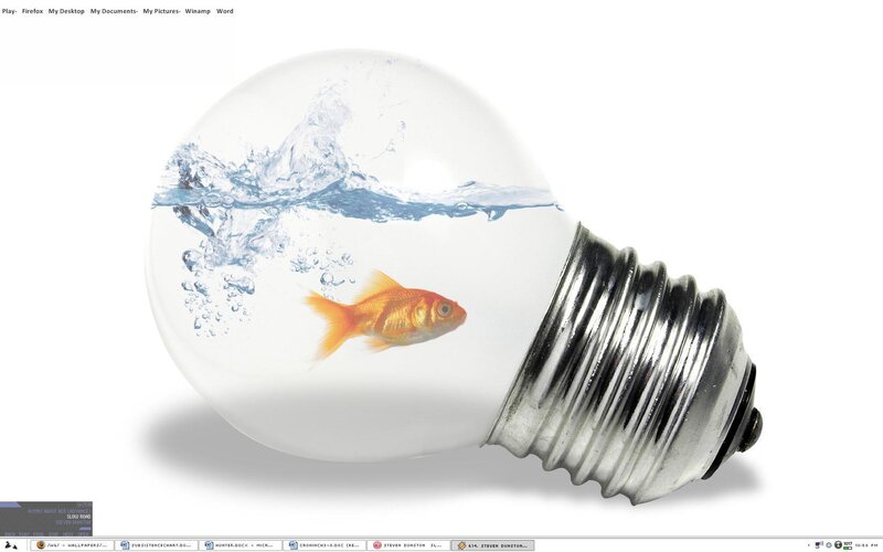 Goldfish in Light Bulb — White, Surreal, Photograph