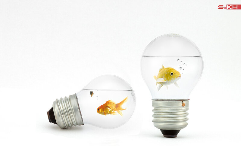 Goldfish in Light Bulbs — White